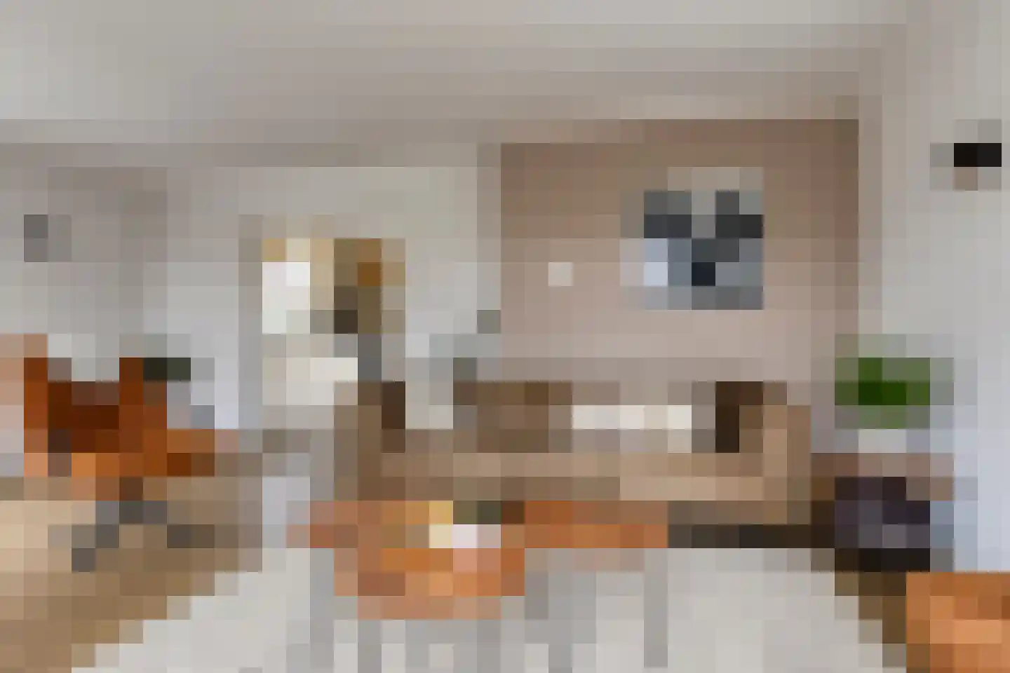 Treem 5 Stiens thumbnail 11