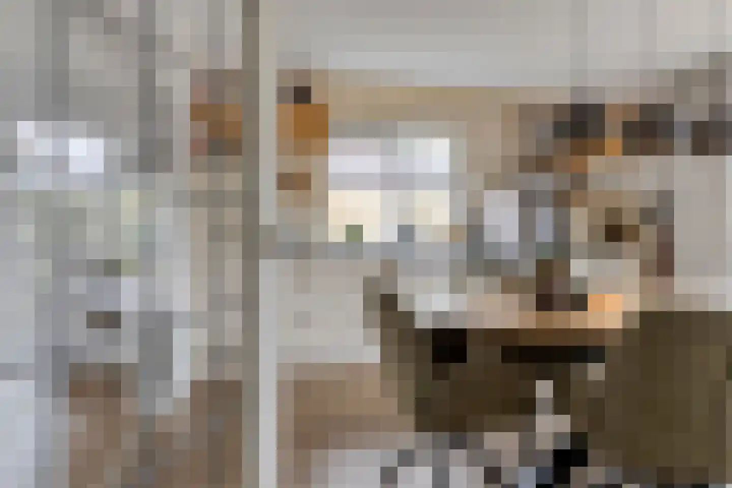 Treem 5 Stiens thumbnail 12