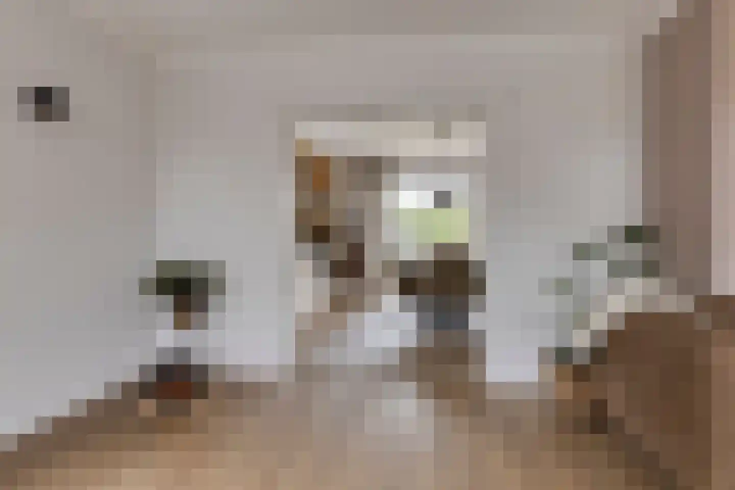 Treem 5 Stiens thumbnail 13
