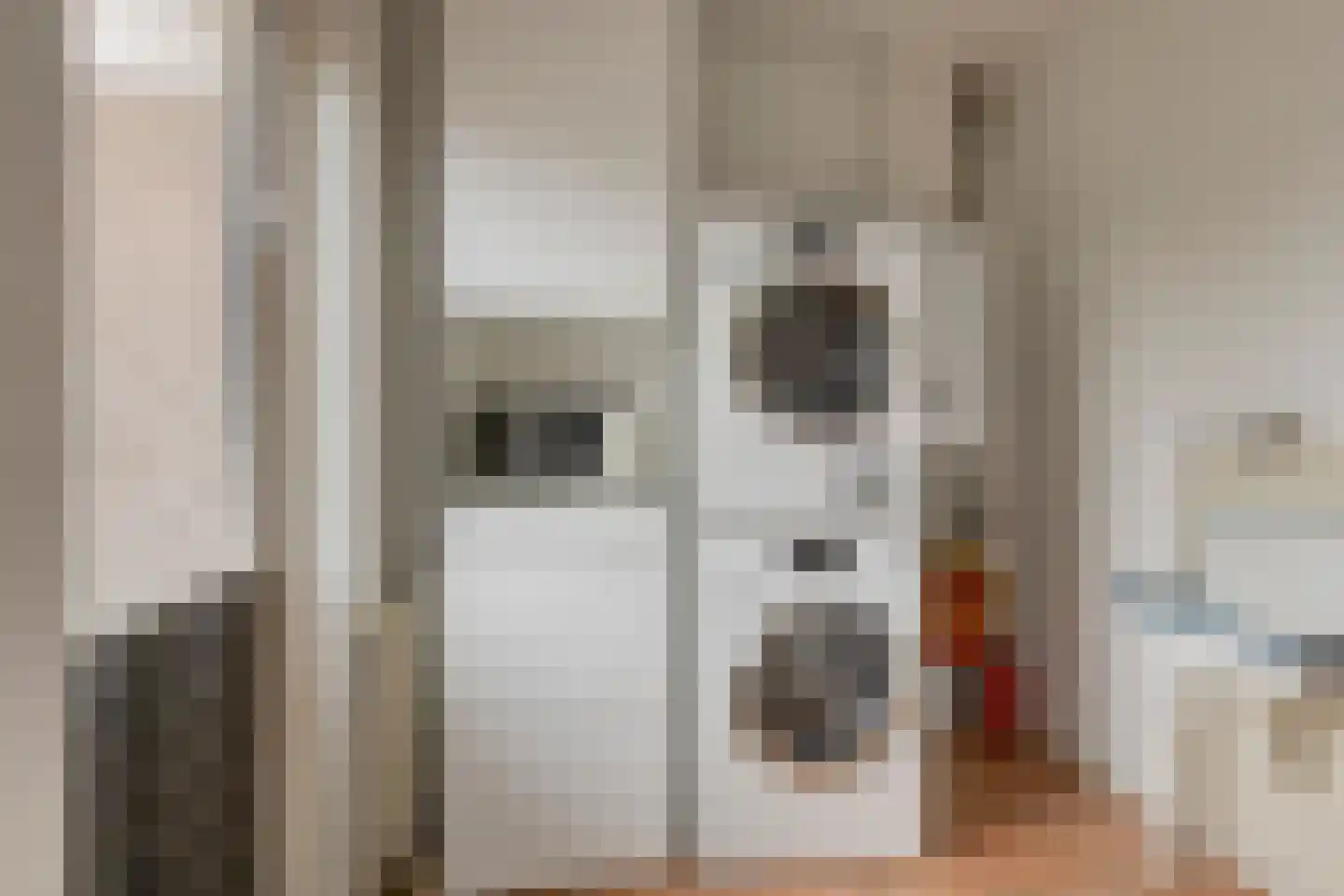 Treem 5 Stiens thumbnail 19