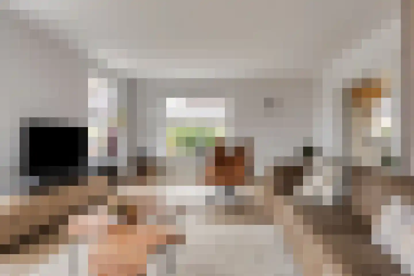 Treem 5 Stiens foto 2