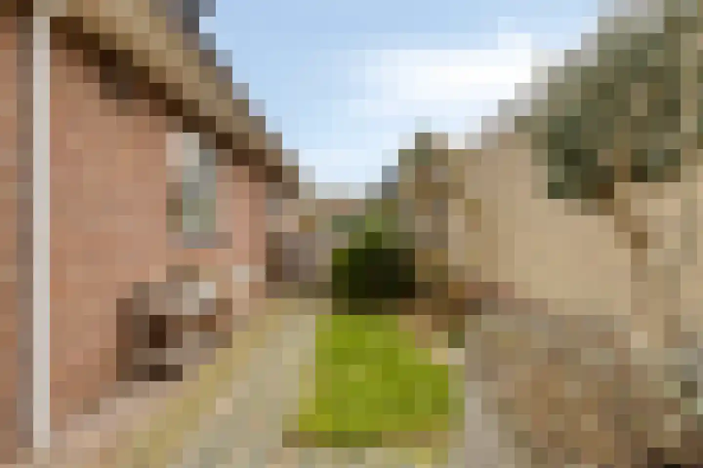 Treem 5 Stiens thumbnail 25