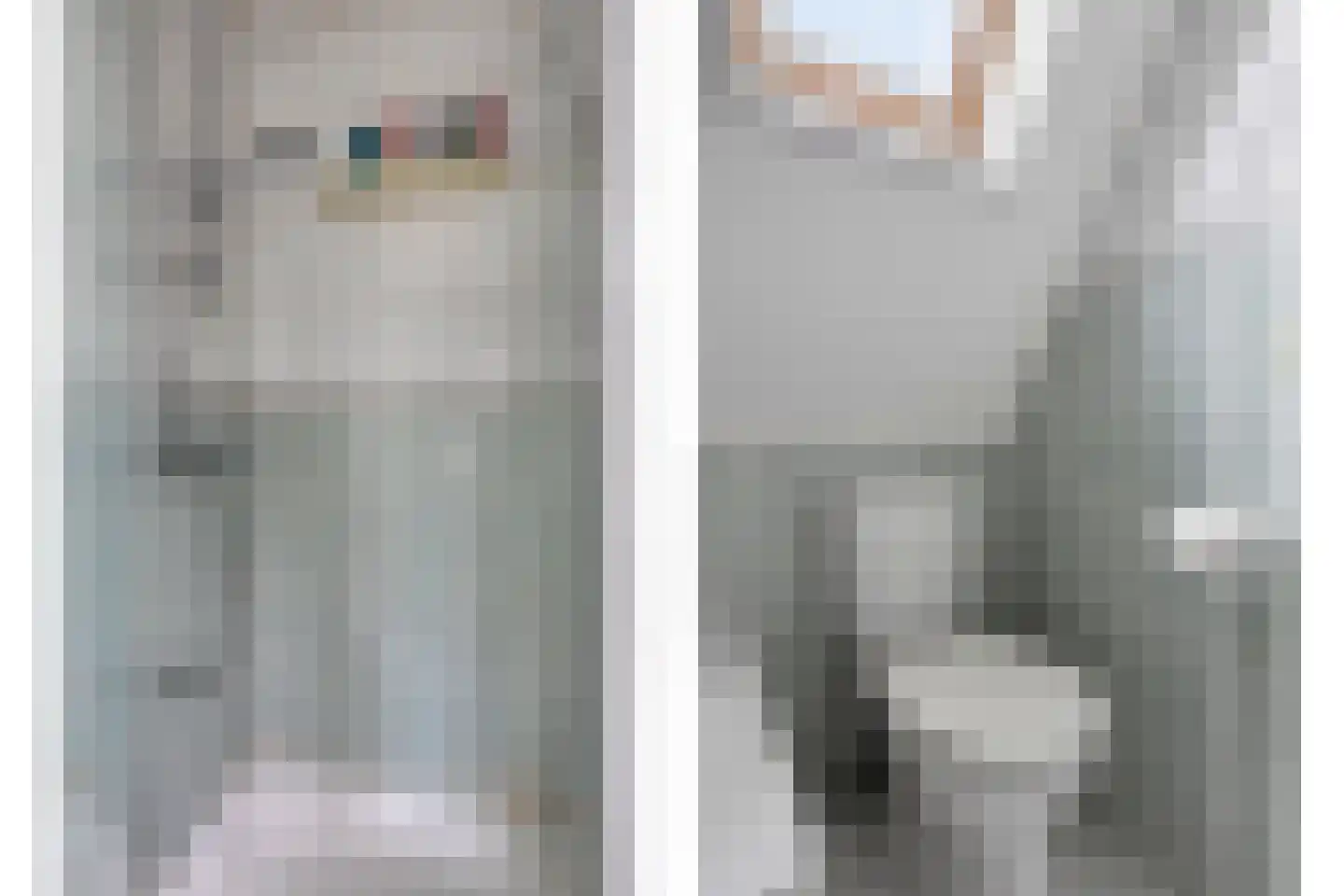 Treem 5 Stiens thumbnail 33