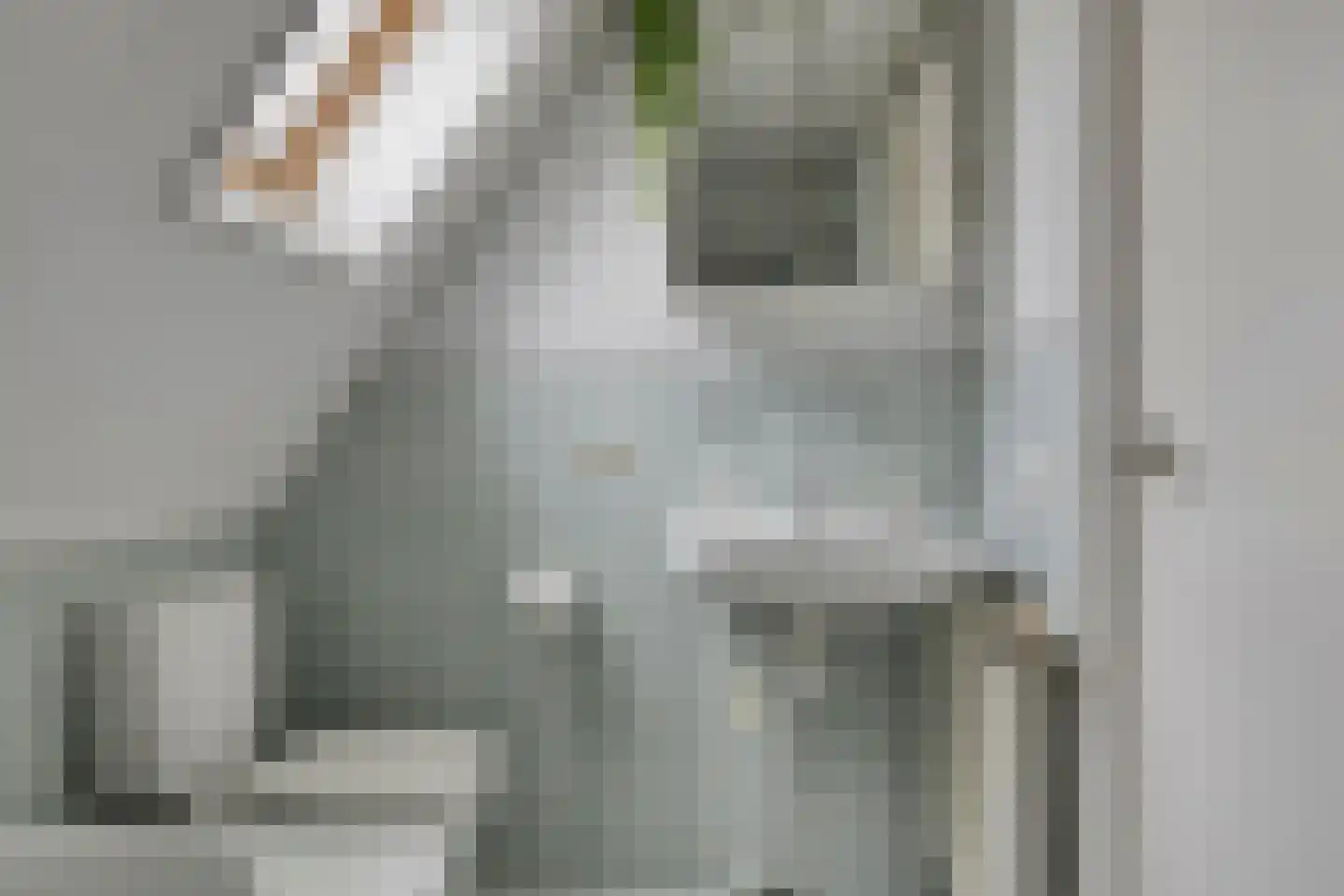 Treem 5 Stiens thumbnail 34