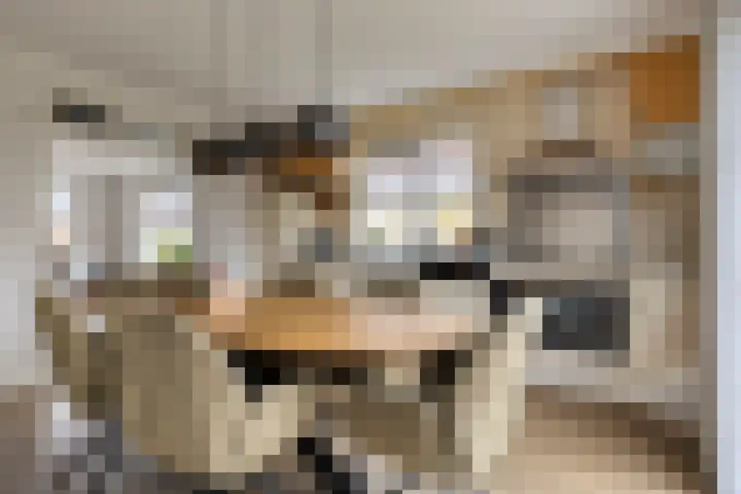 Treem 5 Stiens thumbnail 4