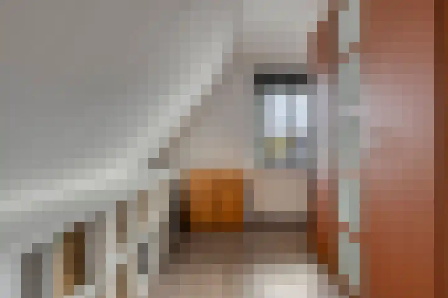 Treem 5 Stiens thumbnail 40