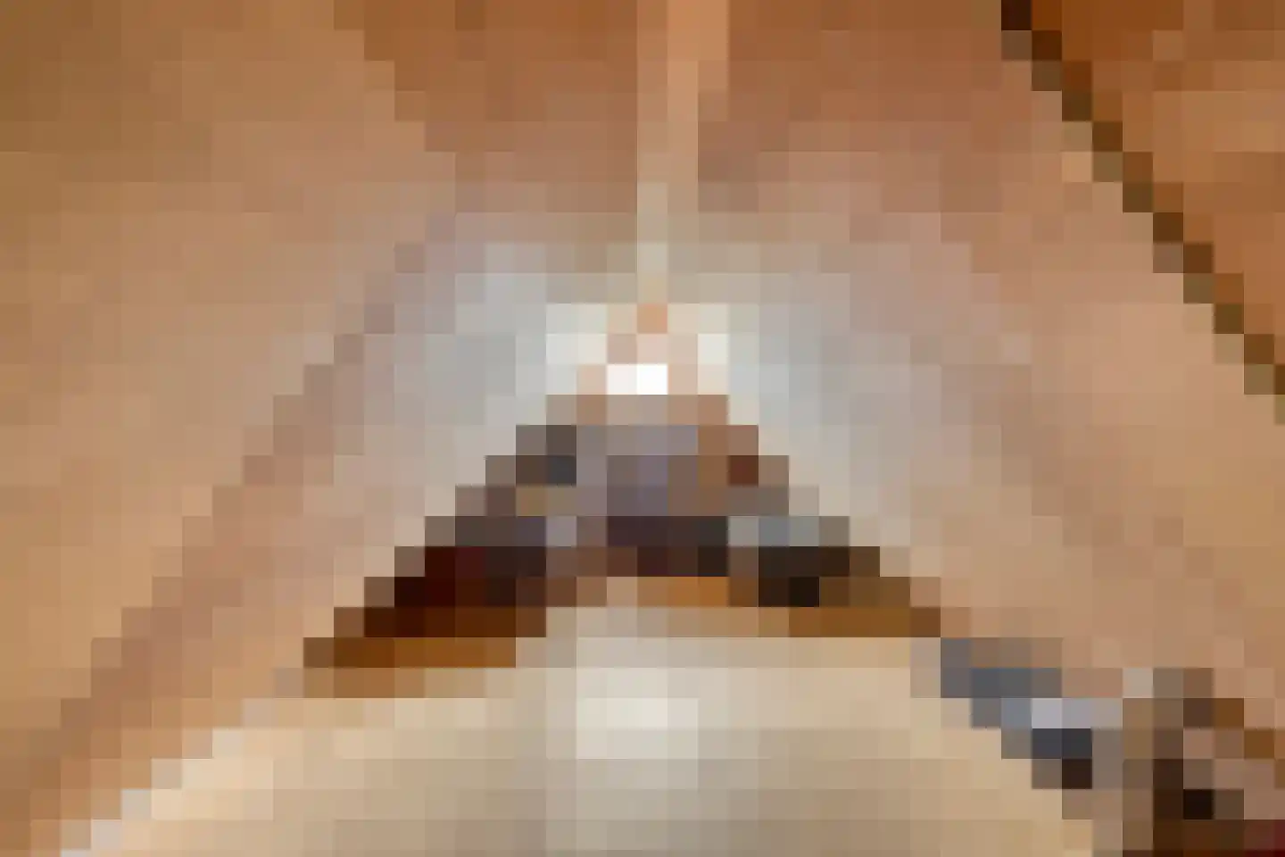 Treem 5 Stiens thumbnail 42