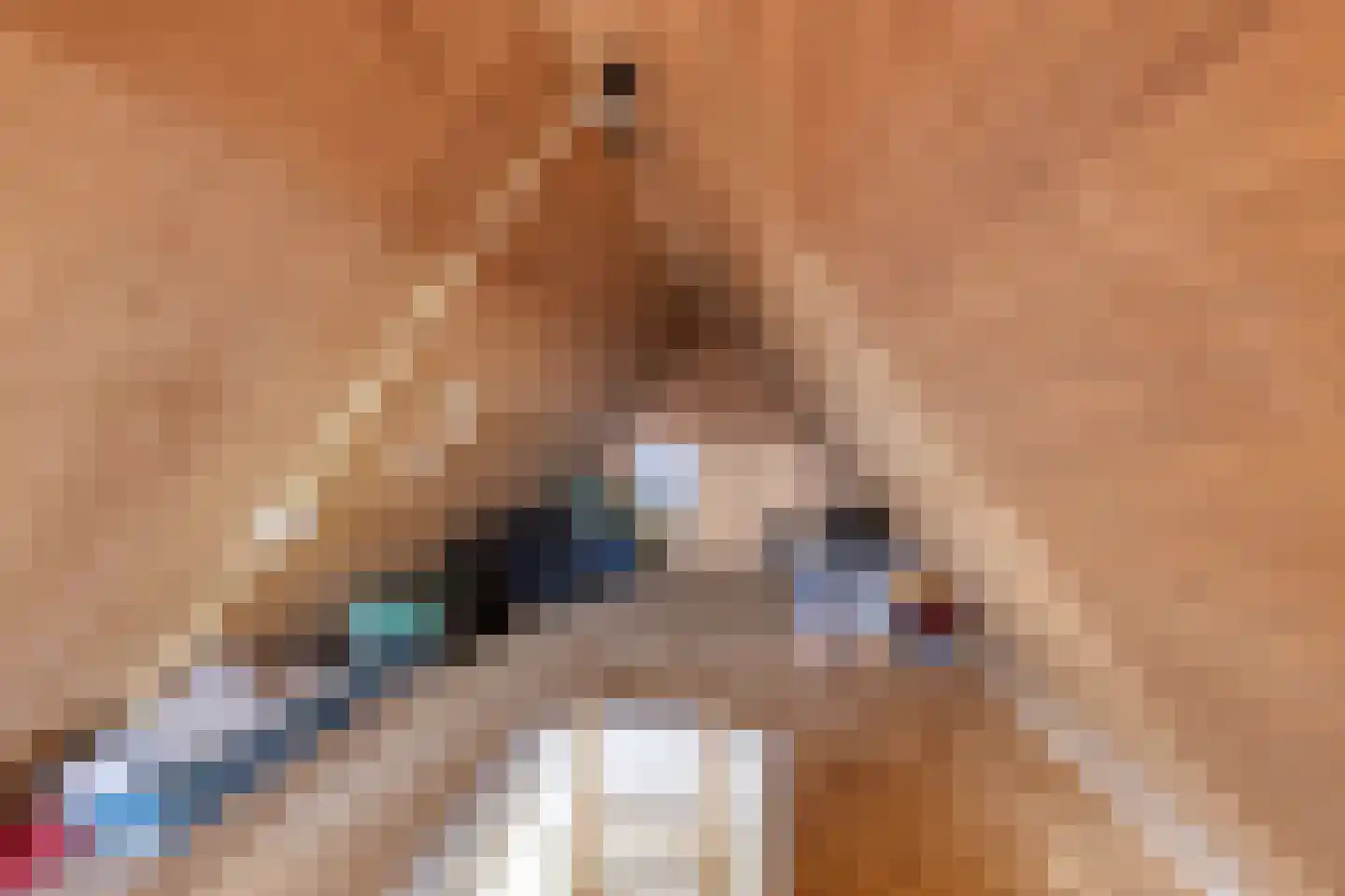 Treem 5 Stiens thumbnail 43