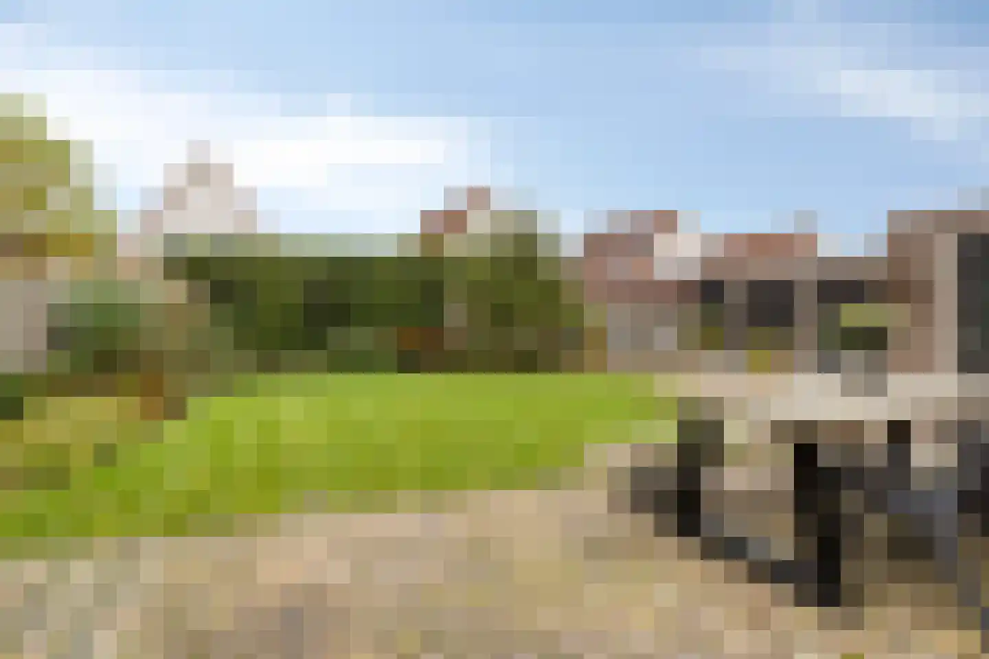 Treem 5 Stiens thumbnail 6
