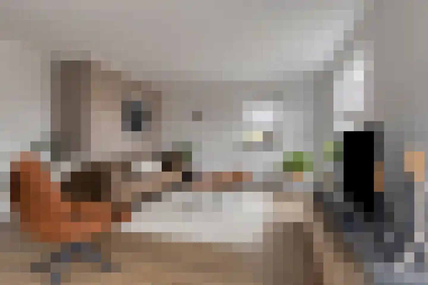 Treem 5 Stiens thumbnail 9