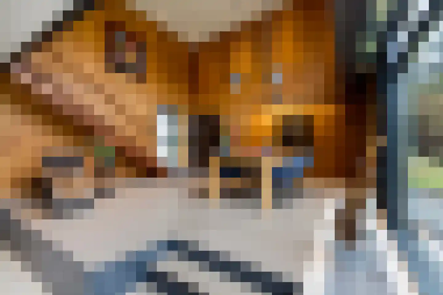 Treeswijklaan 9 Waalre thumbnail 11