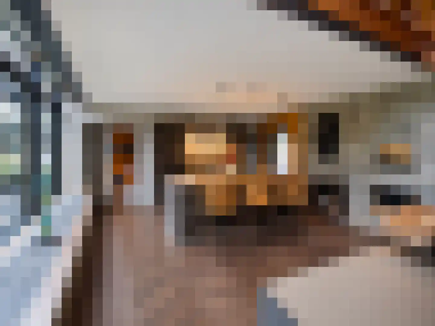Treeswijklaan 9 Waalre thumbnail 12
