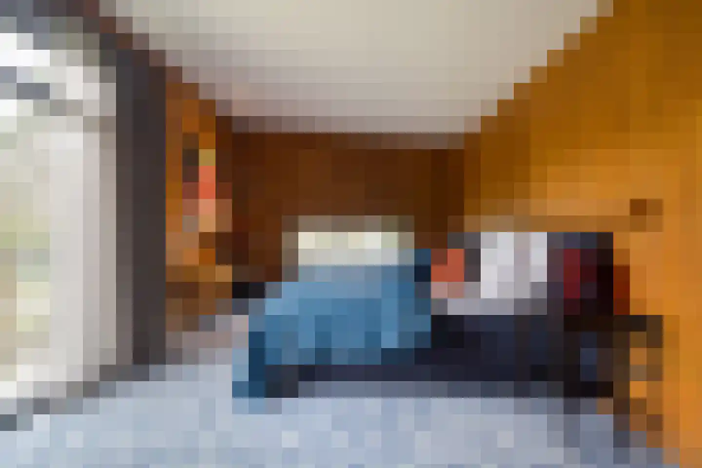 Treeswijklaan 9 Waalre thumbnail 15