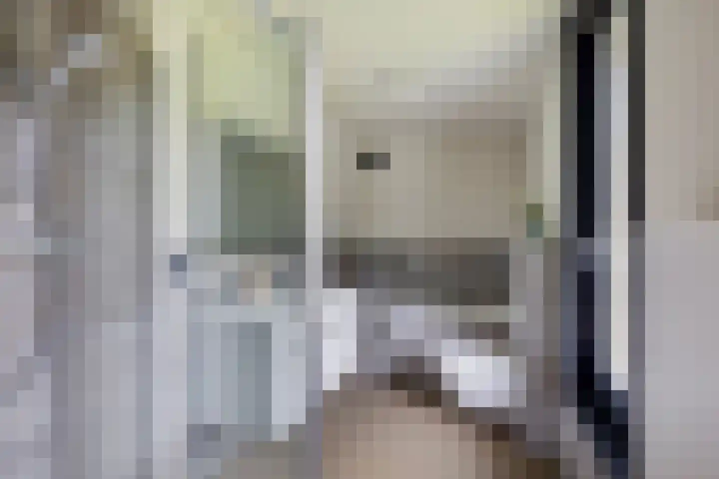 Treeswijklaan 9 Waalre thumbnail 17