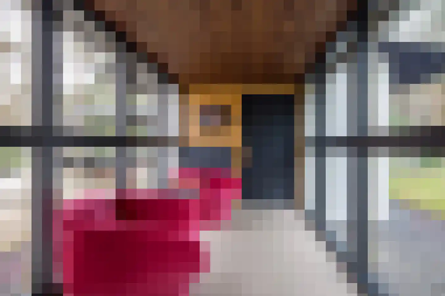 Treeswijklaan 9 Waalre thumbnail 18