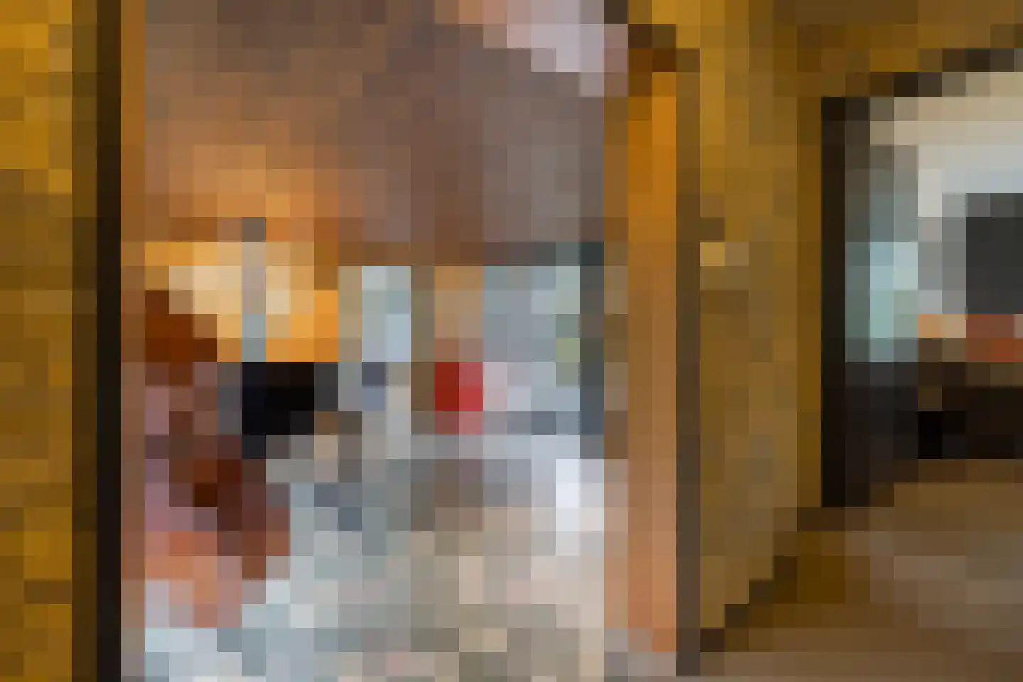 Treeswijklaan 9 Waalre thumbnail 20