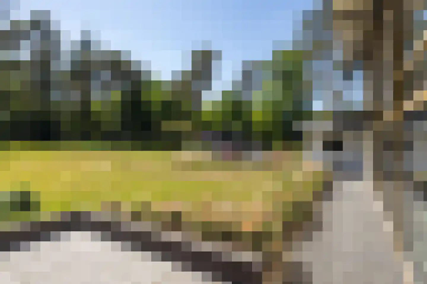 Treeswijklaan 9 Waalre thumbnail 29