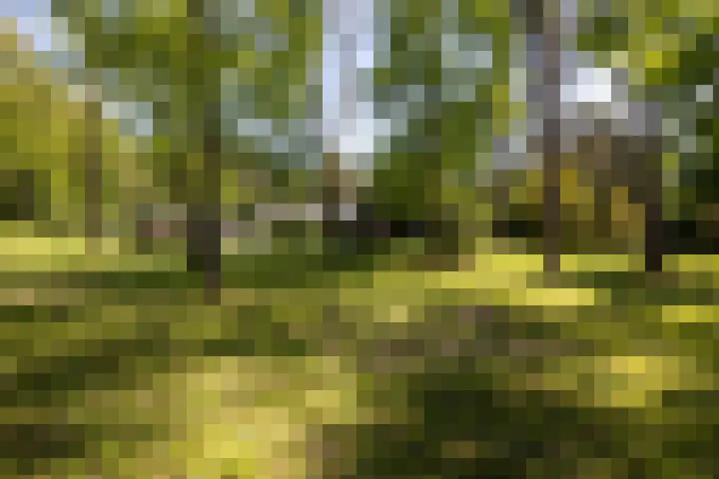 Treeswijklaan 9 Waalre thumbnail 31