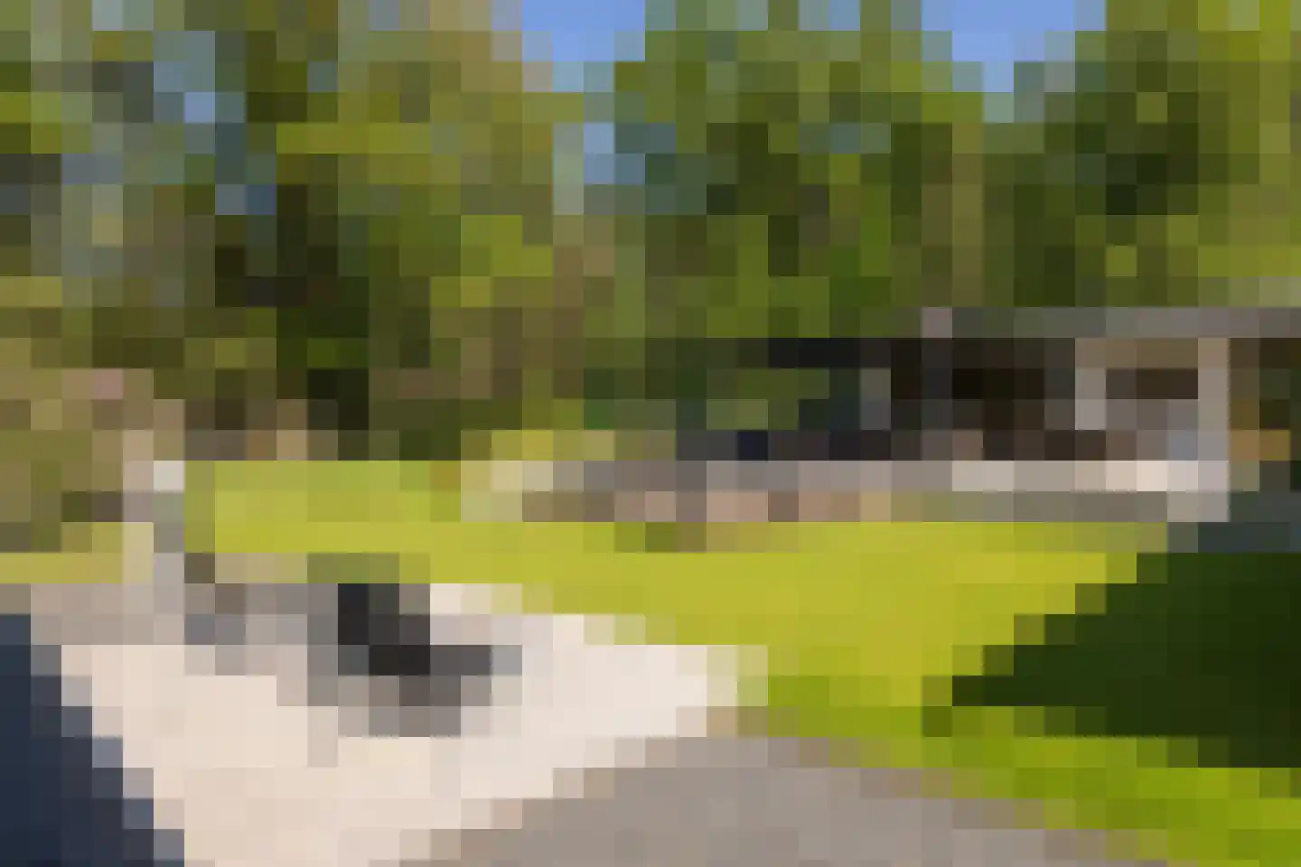 Treeswijklaan 9 Waalre thumbnail 34