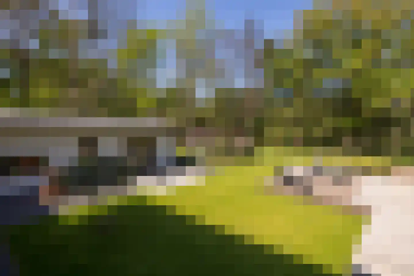 Treeswijklaan 9 Waalre thumbnail 37