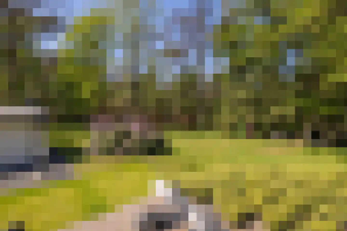 Treeswijklaan 9 Waalre thumbnail 39