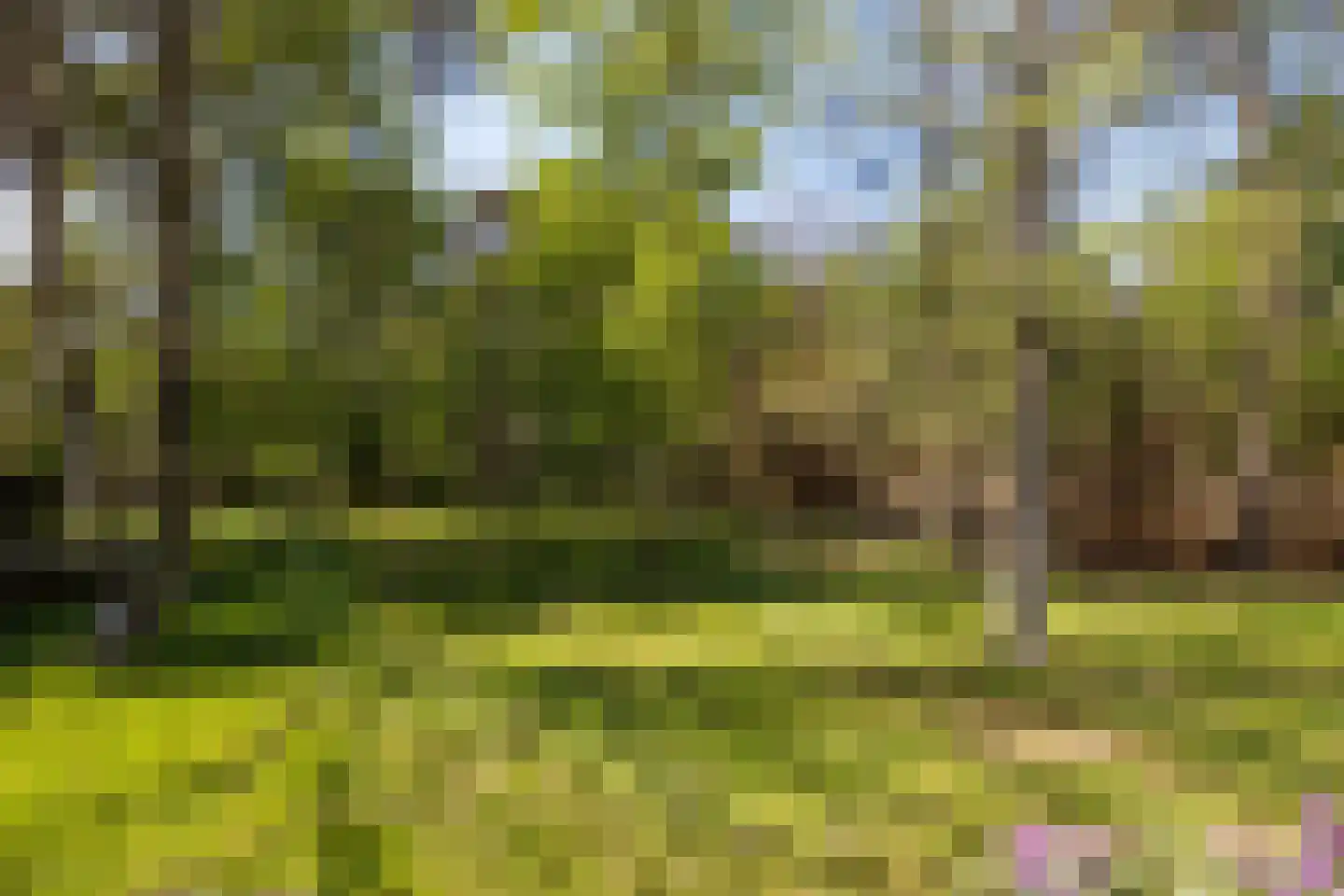 Treeswijklaan 9 Waalre thumbnail 40