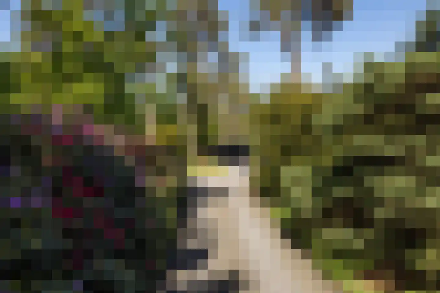 Treeswijklaan 9 Waalre thumbnail 5