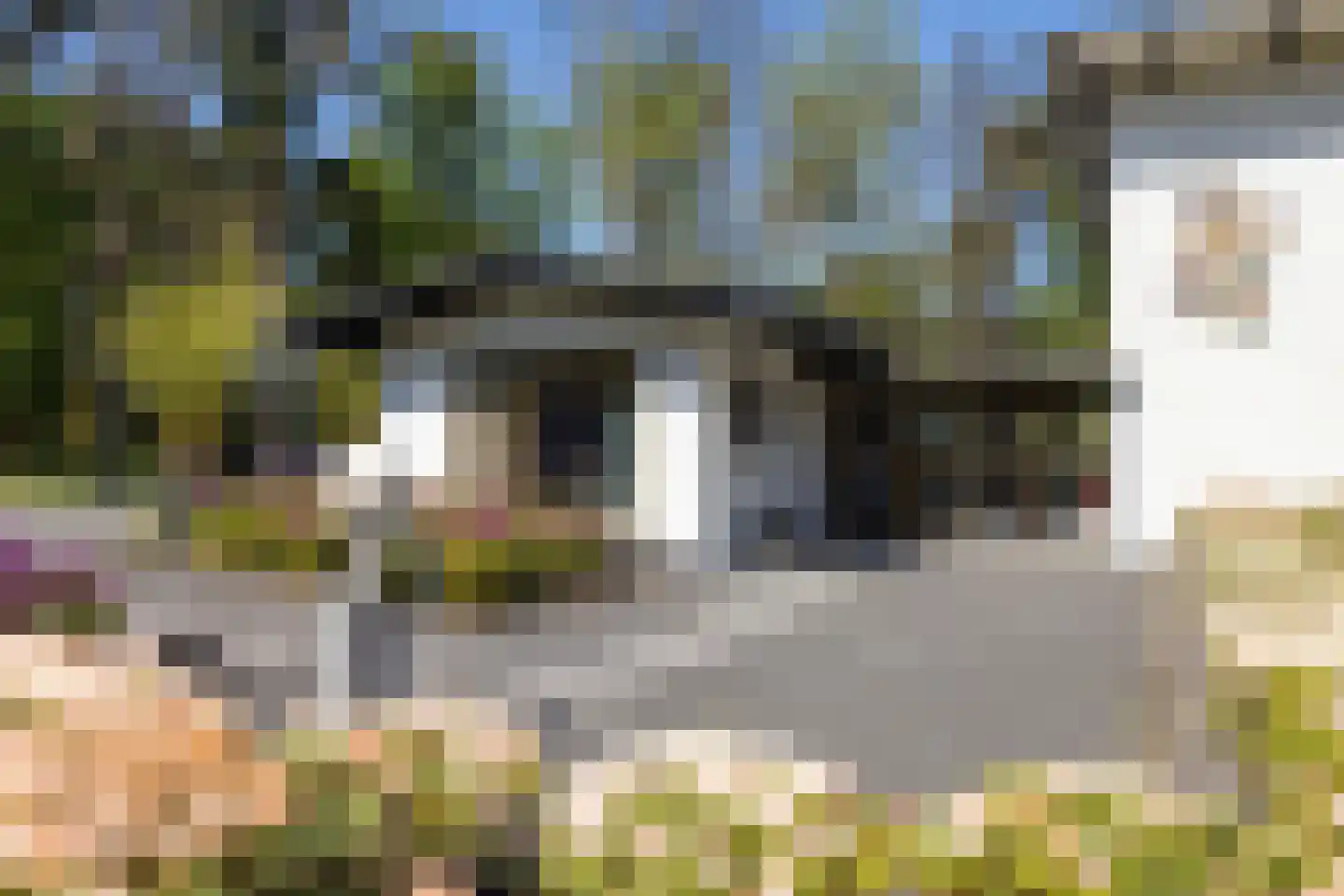 Treeswijklaan 9 Waalre thumbnail 8
