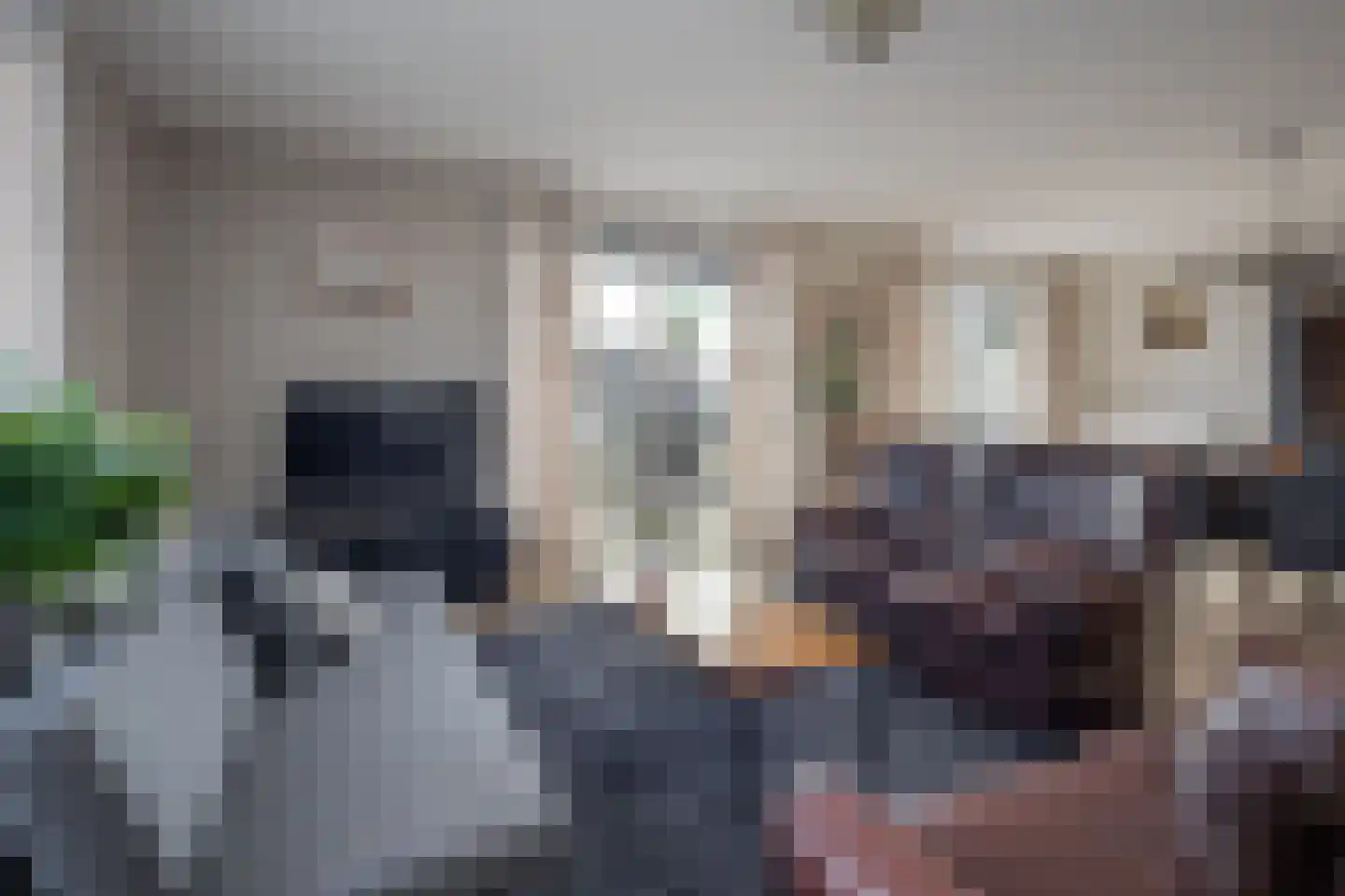 Treffers 11 Bovenkarspel thumbnail 12