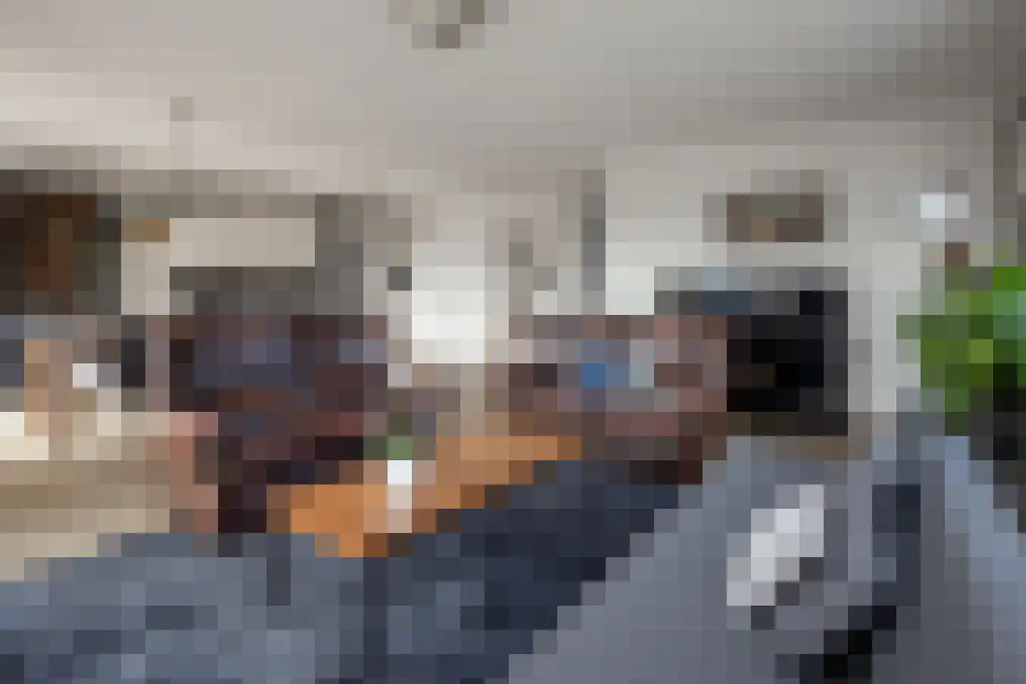 Treffers 11 Bovenkarspel thumbnail 13