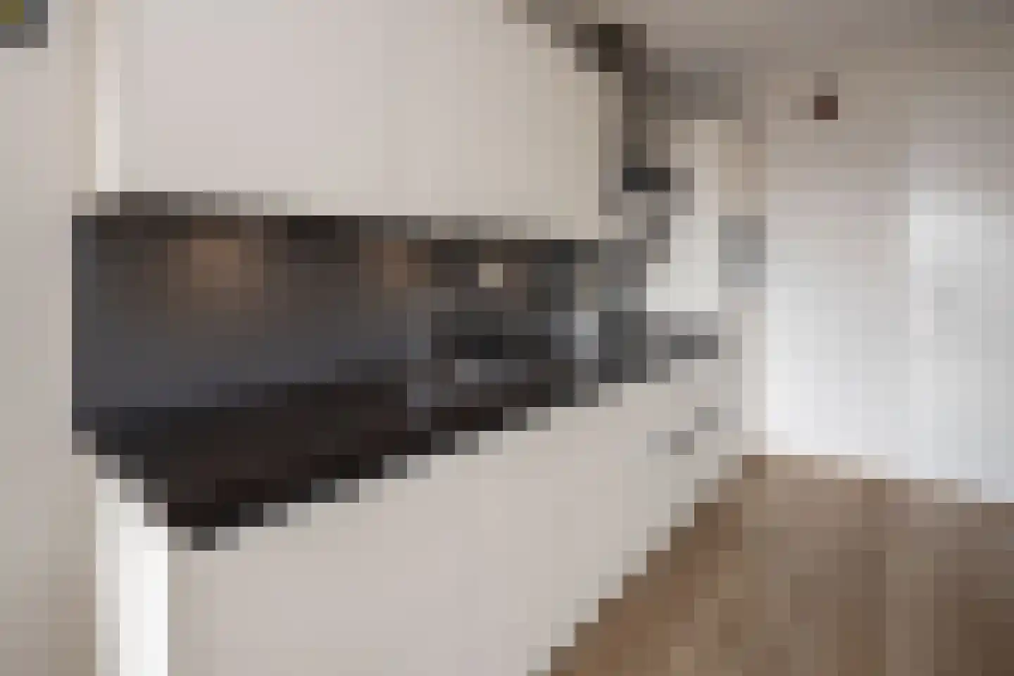 Treffers 11 Bovenkarspel thumbnail 18
