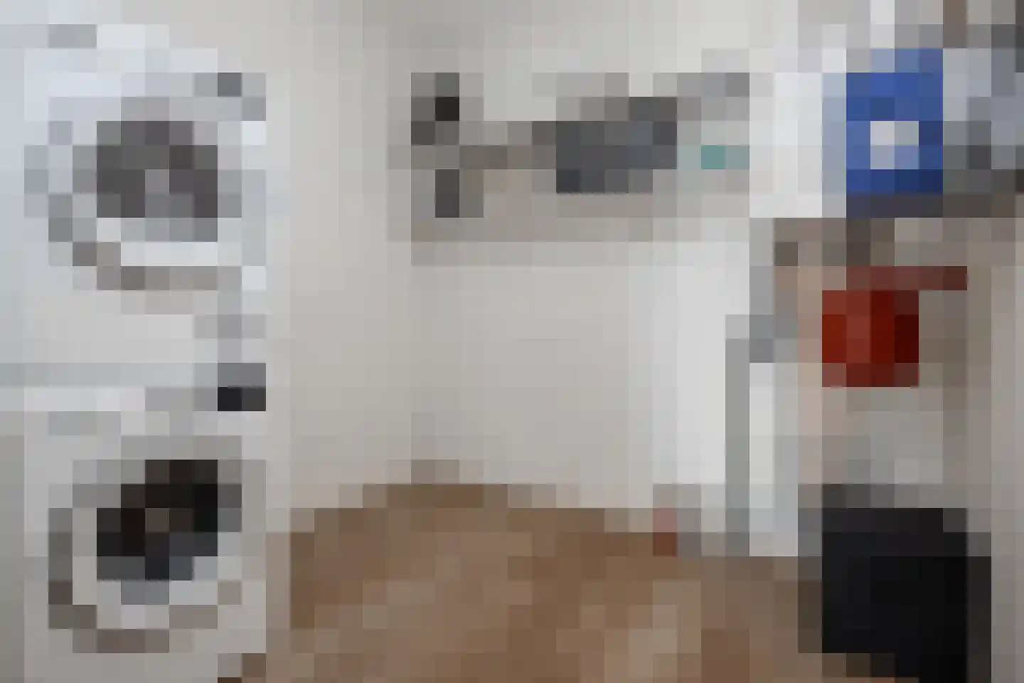 Treffers 11 Bovenkarspel thumbnail 20
