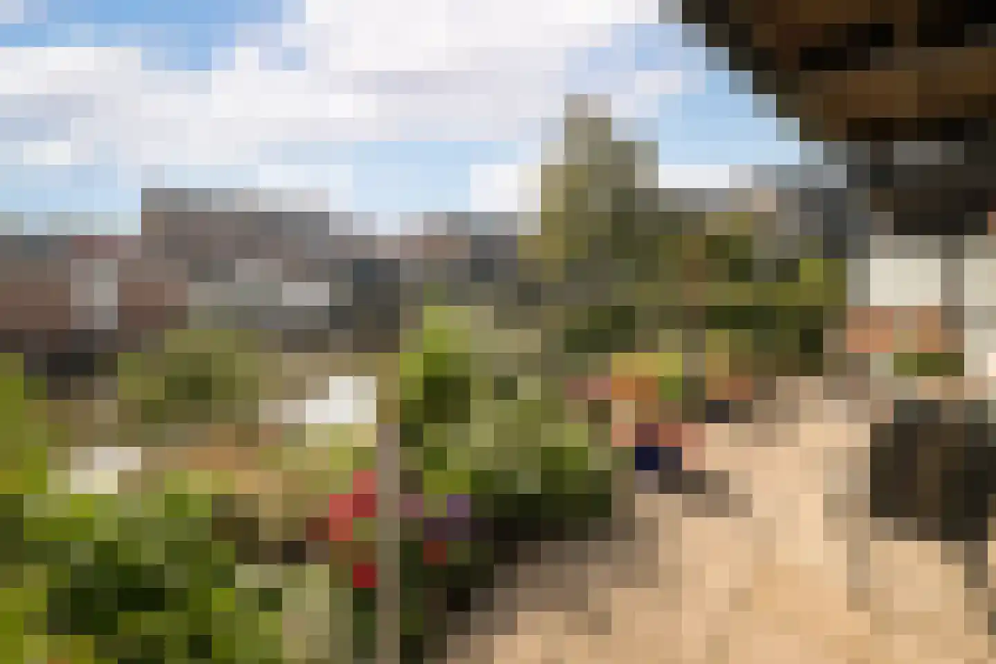Treffers 11 Bovenkarspel thumbnail 32