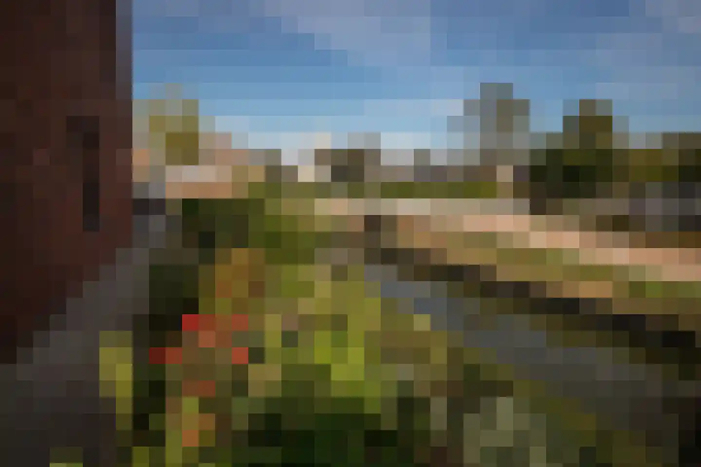 Treffers 11 Bovenkarspel thumbnail 36