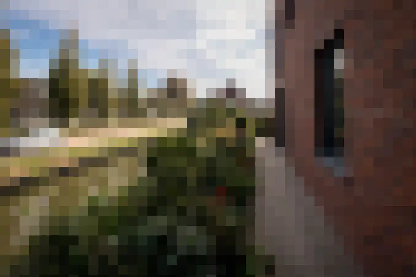 Treffers 11 Bovenkarspel thumbnail 37