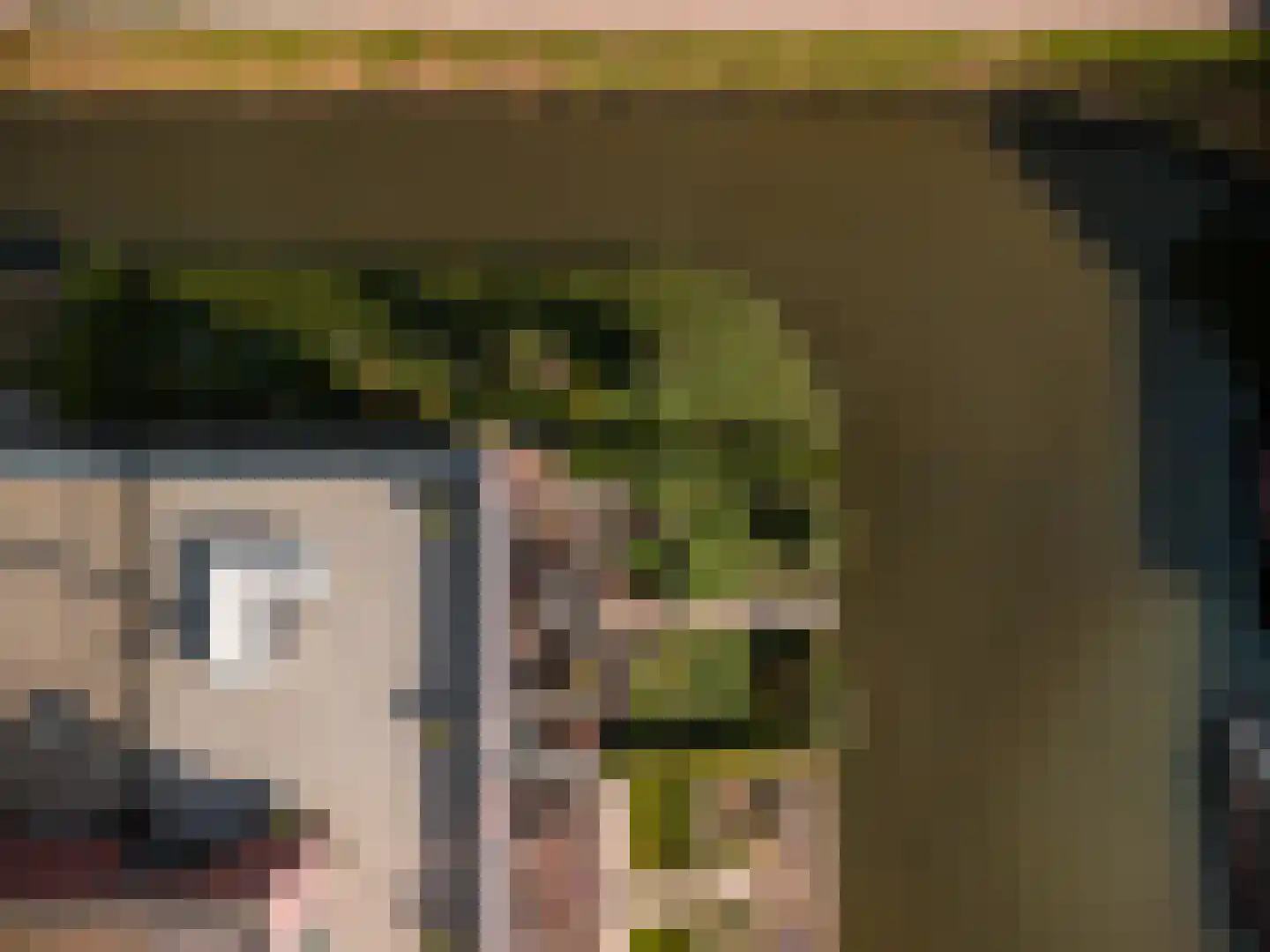 Treffers 11 Bovenkarspel thumbnail 42