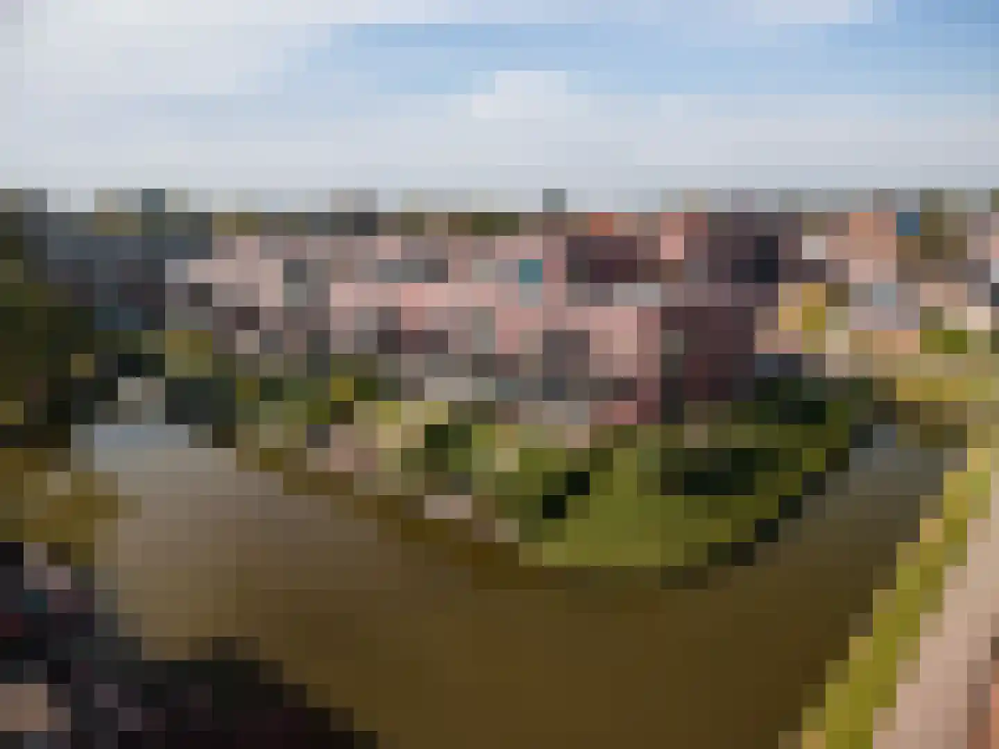 Treffers 11 Bovenkarspel thumbnail 45