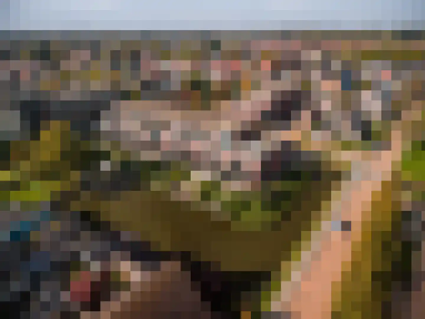 Treffers 11 Bovenkarspel thumbnail 47