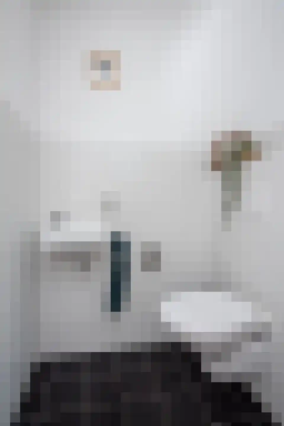 Treffers 11 Bovenkarspel thumbnail 60