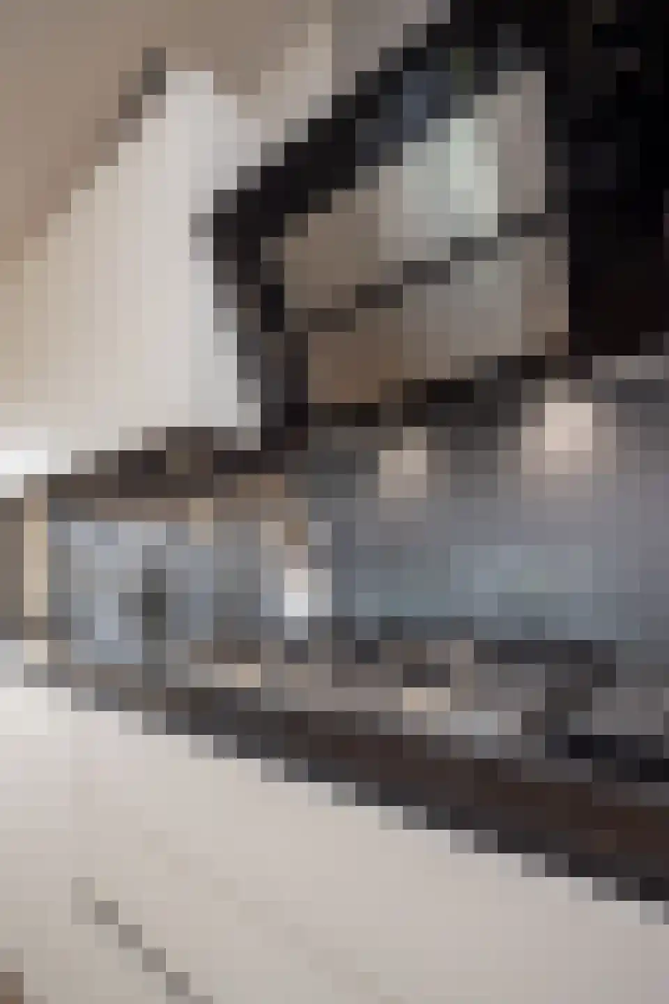 Treffers 11 Bovenkarspel thumbnail 65