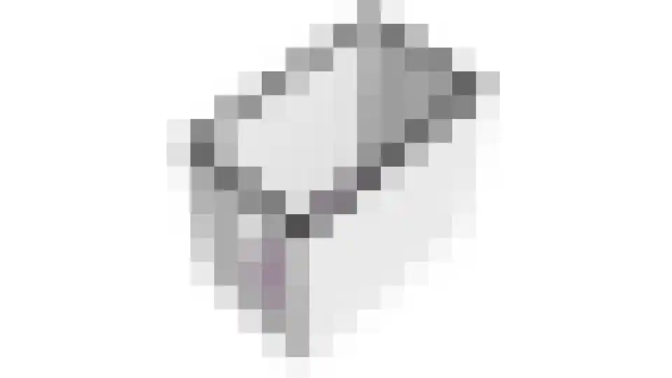 Treffers 11 Bovenkarspel thumbnail 72
