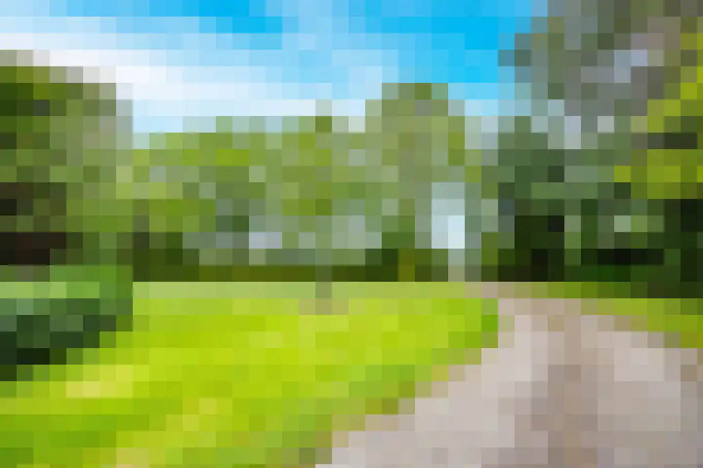 Tregelaar 2 Oirschot thumbnail 10
