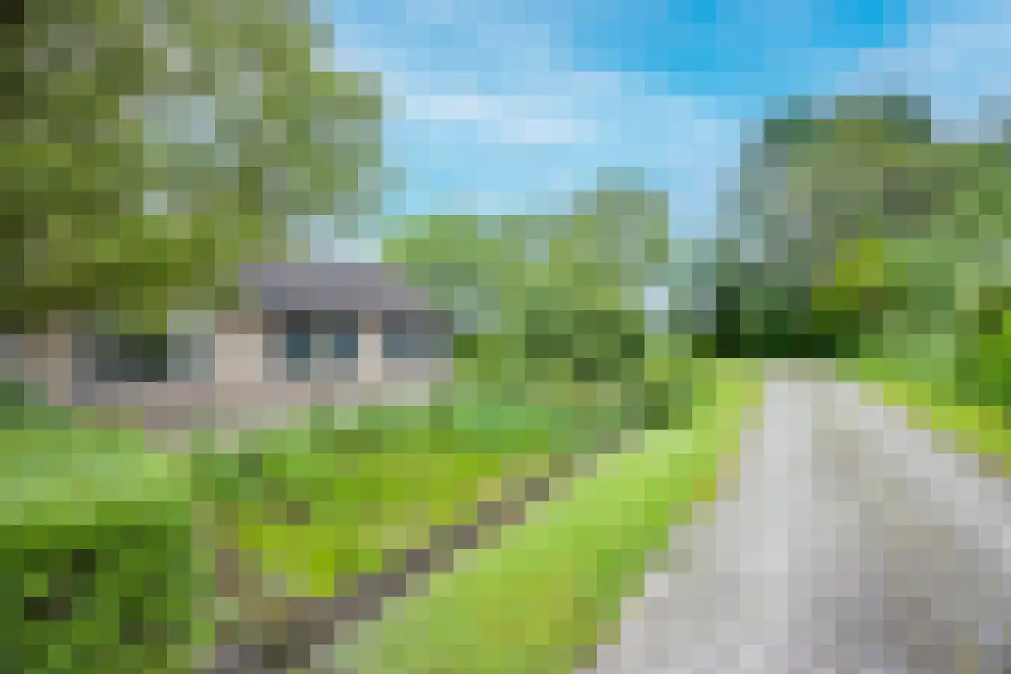 Tregelaar 2 Oirschot thumbnail 14