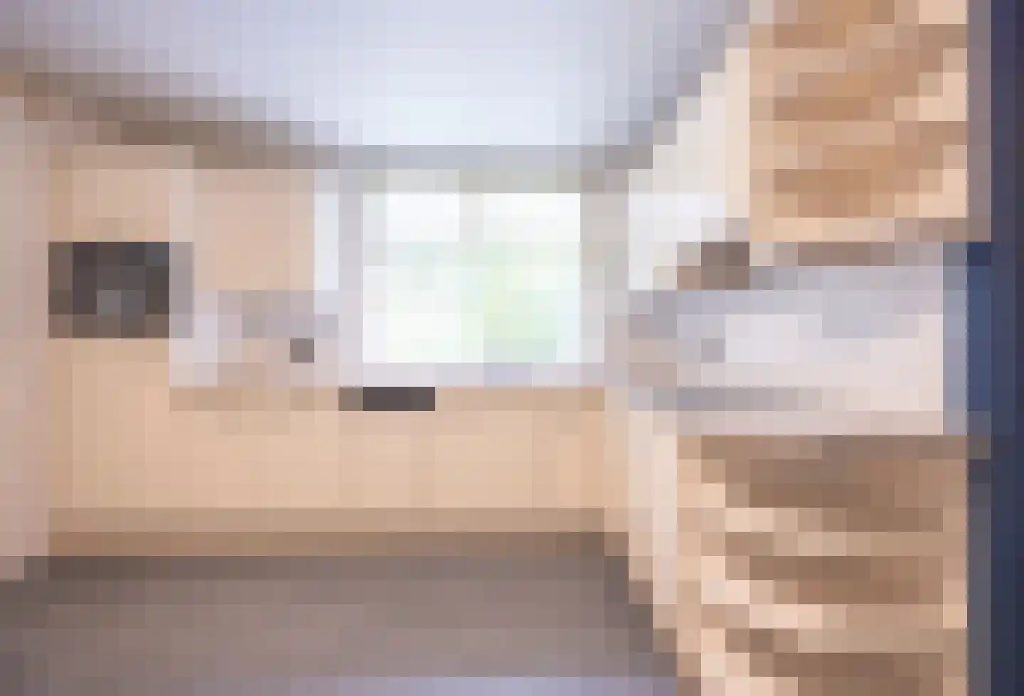 Tregelaar 2 Oirschot thumbnail 21