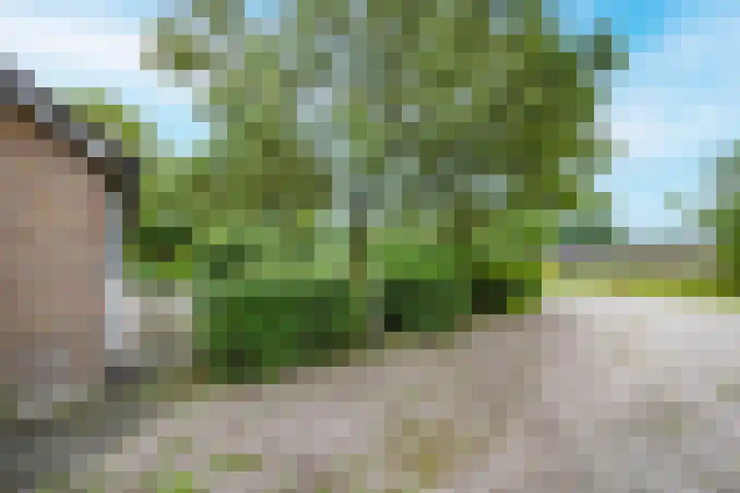 Tregelaar 2 Oirschot thumbnail 30