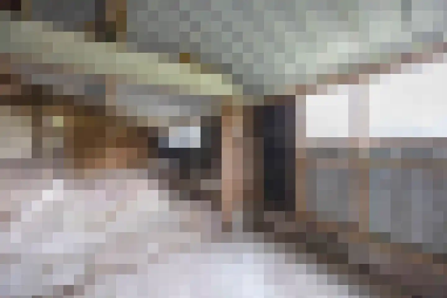 Tregelaar 2 Oirschot thumbnail 36