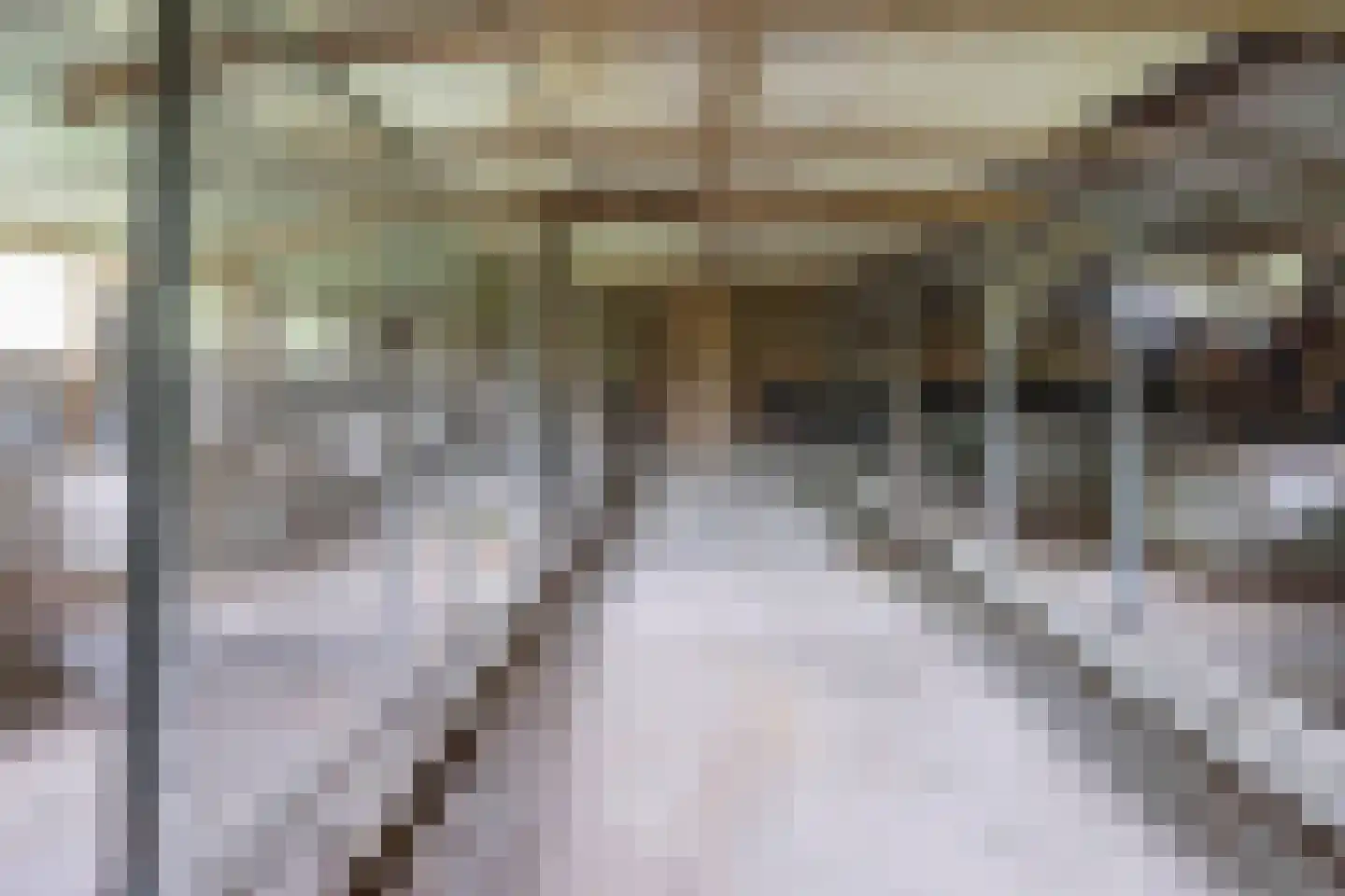 Tregelaar 2 Oirschot thumbnail 37