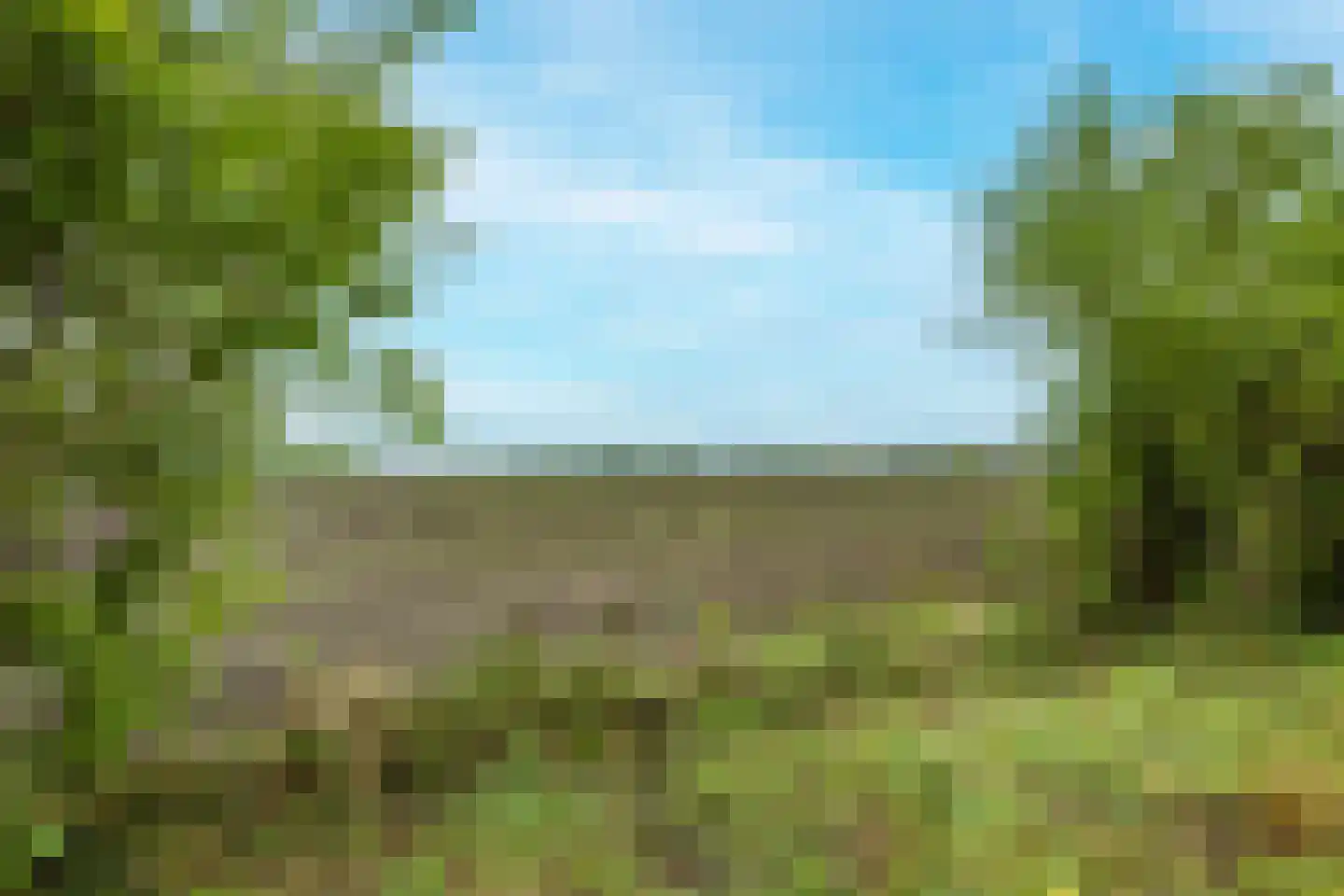 Tregelaar 2 Oirschot thumbnail 39