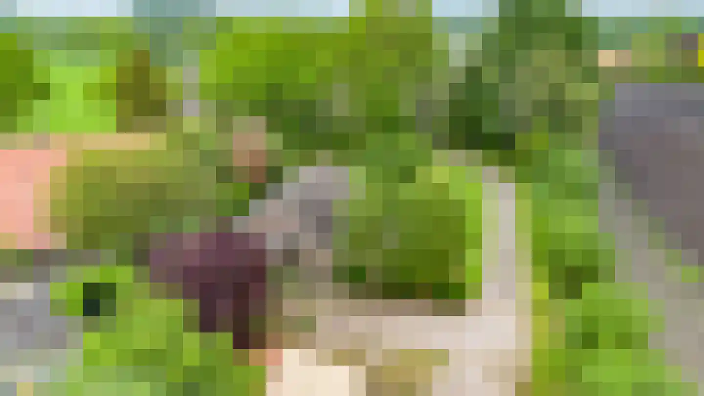 Tregelaar 2 Oirschot thumbnail 4