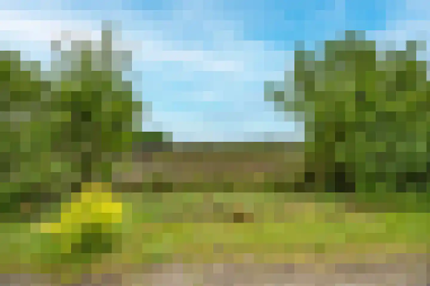 Tregelaar 2 Oirschot thumbnail 40